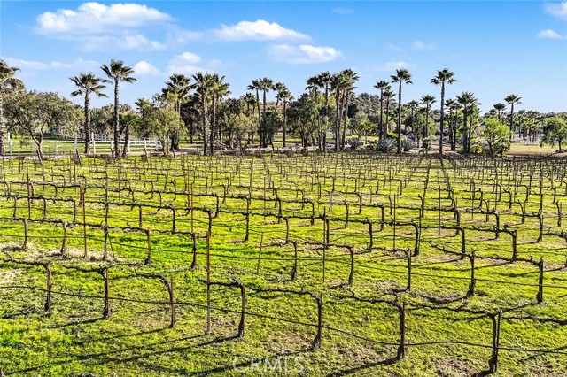 Detail Gallery Image 27 of 63 For 40801 Avenida La Cresta, Murrieta,  CA 92562 - 3 Beds | 3 Baths