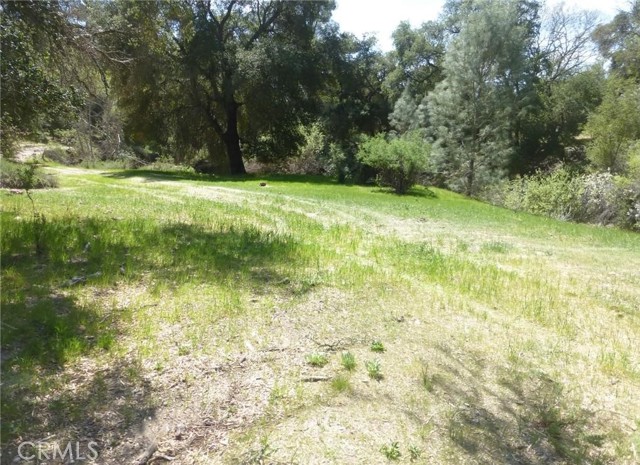 0 0 Vineyard Canyon Parcel 29, San Miguel, California 93451, ,Land,For Sale,0 0 Vineyard Canyon Parcel 29,CRNS23160263