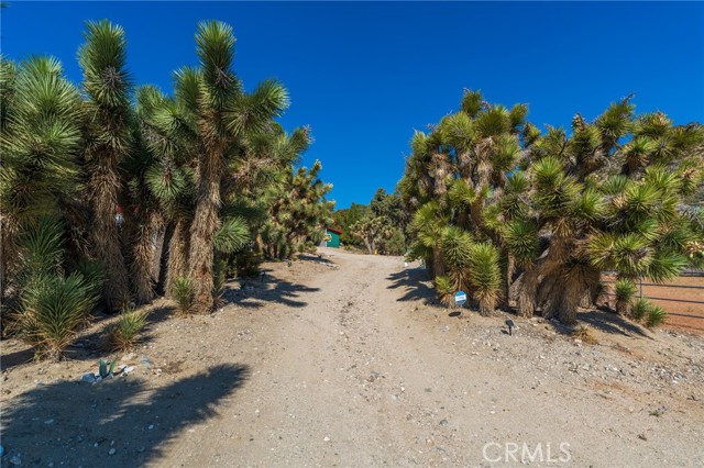 Detail Gallery Image 22 of 73 For 2184 Oak Springs Valley Rd, Wrightwood,  CA 92397 - 3 Beds | 2 Baths