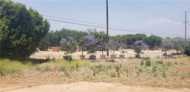 1246 Washington Street, Riverside, California 92506, ,Commercial Lease,For Rent,1246 Washington Street,CRAR24040255