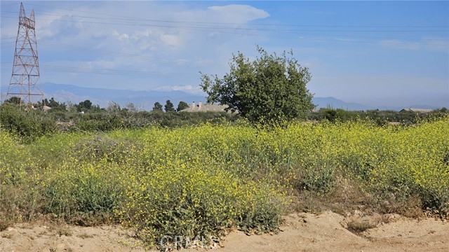 1 Baldy Mesa Road, Oak Hills, California 92405, ,Land,For Sale,1 Baldy Mesa Road,CRHD23194801