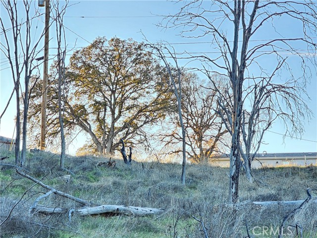 Detail Gallery Image 18 of 28 For 17150 Deer Park, Lower Lake,  CA 95457 - – Beds | – Baths