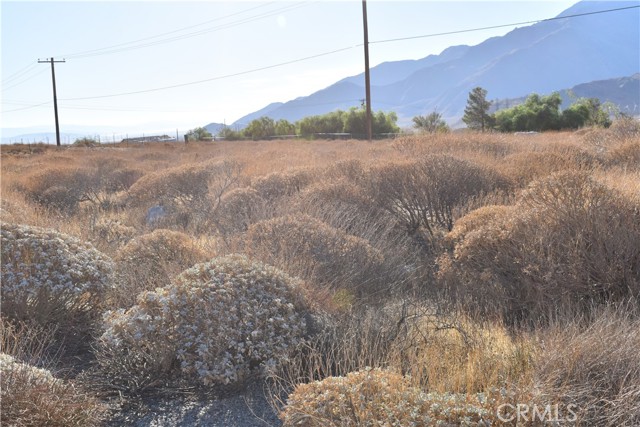 Detail Gallery Image 10 of 27 For 12475 Woodridge Ave, Whitewater,  CA 92282 - 4 Beds | 2 Baths