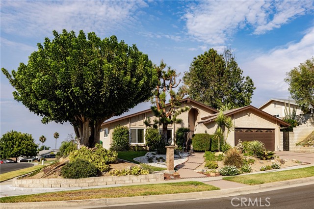 Detail Gallery Image 62 of 67 For 1817 Yucca Dr, Corona,  CA 92882 - 4 Beds | 2 Baths