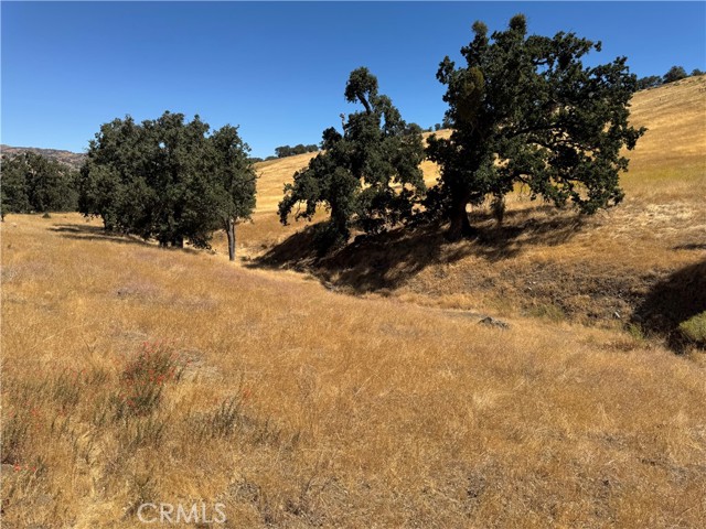 Detail Gallery Image 7 of 17 For 0 Arosa Rd, Tehachapi,  CA 93561 - – Beds | – Baths