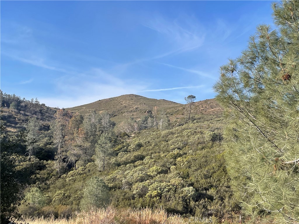 MLS #MP24250219 image #5