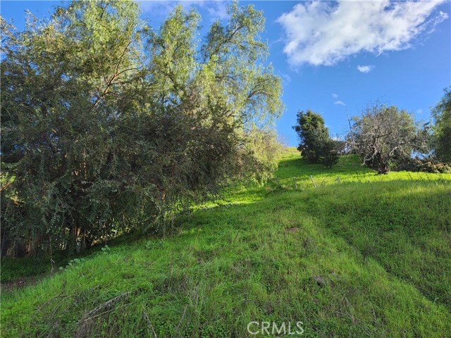 2931 Thomas Street, Los Angeles, California 90031, ,Land,For Sale,2931 Thomas Street,CRPW24023934