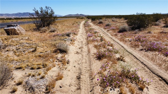 Detail Gallery Image 4 of 11 For 0 Ca-247, Johnson Valley,  CA 92285 - – Beds | – Baths