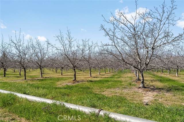 Image 36 of 37 For 3240 4th St  