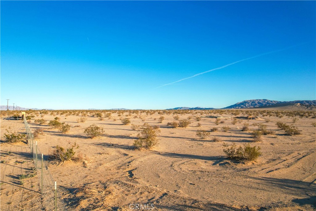 MLS #JT24014516 image #4