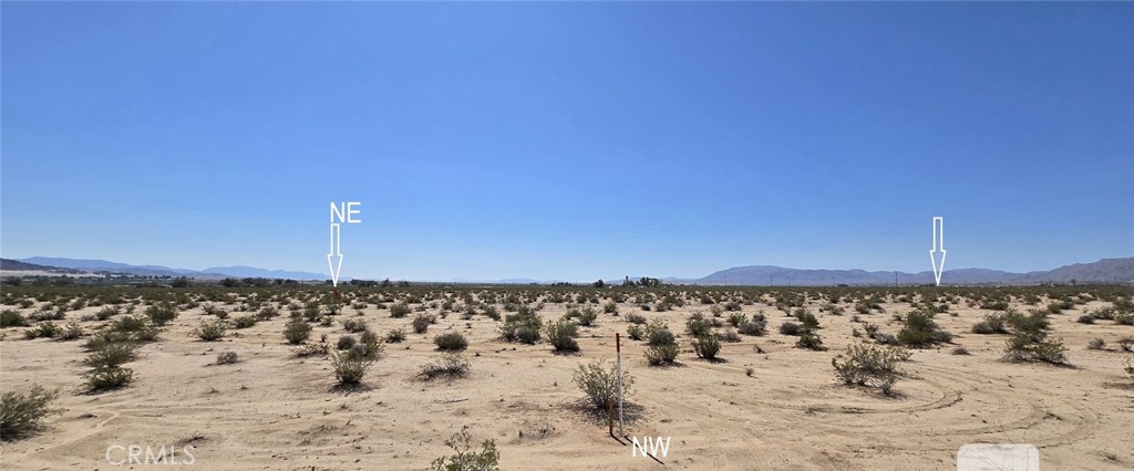 MLS #DW25164142 image #8