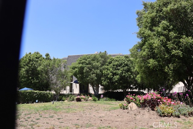 2385 Roscomare Road, Bel Air CA: https://media.crmls.org/medias/ace6e59e-3e40-4ebf-a7a8-944edcebb42e.jpg