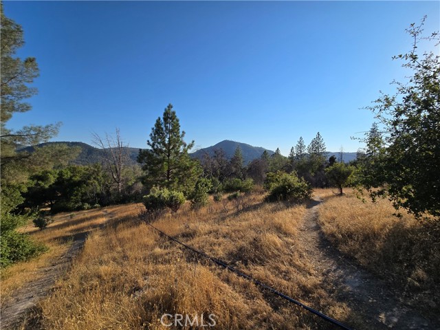 Detail Gallery Image 31 of 32 For 804 Craig Access Road, Feather Falls,  CA 95940 - 2 Beds | 1 Baths