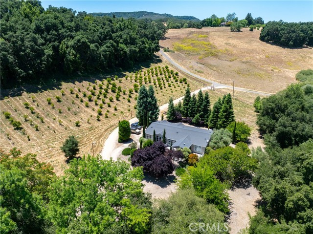 5405 Vineyard Drive, Paso Robles CA: https://media.crmls.org/medias/acf80814-f085-42b8-b897-c20326dd949c.jpg