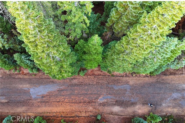 Detail Gallery Image 12 of 14 For 1100 Cleghorn Dr, Quincy,  CA 95971 - – Beds | – Baths