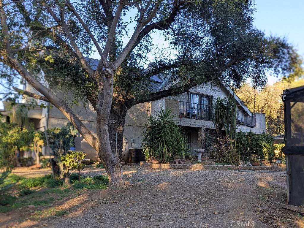 9734 Chocolate Summit