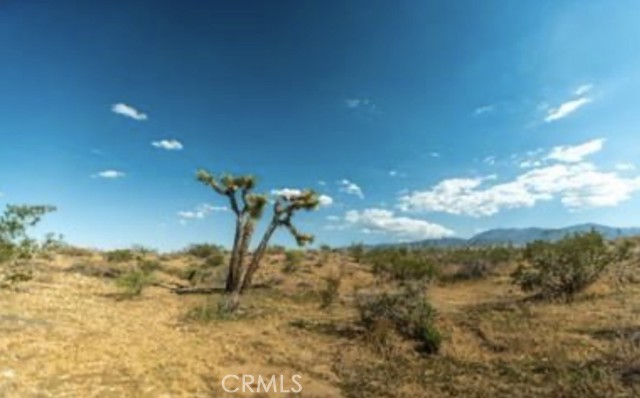 Detail Gallery Image 15 of 21 For 10 171st, Palmdale,  CA 93591 - – Beds | – Baths