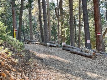 Detail Gallery Image 8 of 9 For 0 Fernland Dr, Idyllwild,  CA 92549 - – Beds | – Baths