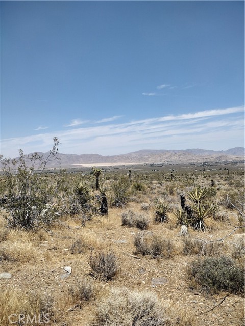 Emerald Rd, Lucerne Valley, CA 92356 Listing Photo  5