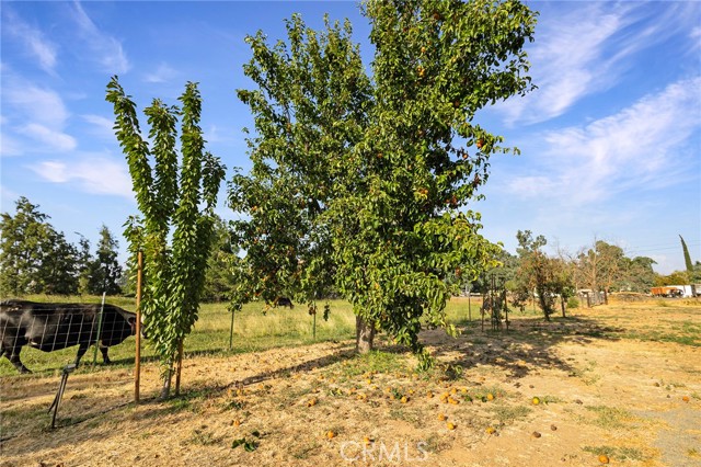 Detail Gallery Image 34 of 57 For 4781 County Road 99, Orland,  CA 95963 - 2 Beds | 1 Baths