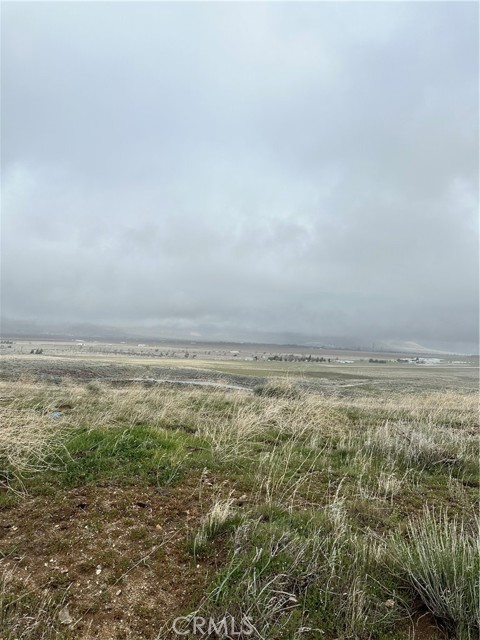 Detail Gallery Image 3 of 6 For 0 Dotty Ct, Tehachapi,  CA 93561 - – Beds | – Baths