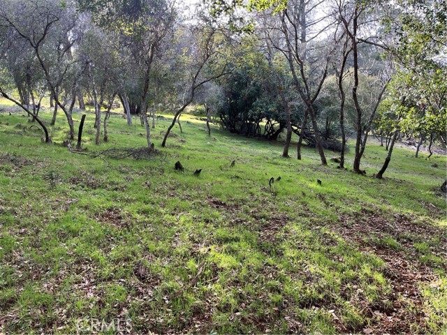 Detail Gallery Image 8 of 9 For 8444 Soda Bay Rd, Kelseyville,  CA 95451 - – Beds | – Baths