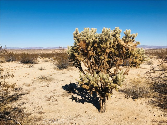 Detail Gallery Image 9 of 9 For 5 Appian Way, Twentynine Palms,  CA 92277 - – Beds | – Baths