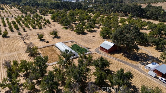 Detail Gallery Image 7 of 27 For 1010 Argonaut Rd, Kelseyville,  CA 95453 - 3 Beds | 1 Baths