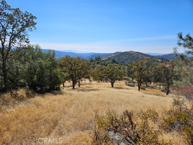Detail Gallery Image 7 of 18 For 5640 Blue Oak Ridge Rd, Mariposa,  CA 95338 - – Beds | – Baths