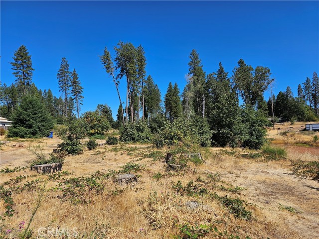 1533 Forest Service Rd, Paradise CA: https://media.crmls.org/medias/ad1f7d8d-37bc-43bb-81dd-c5c69e3ff012.jpg