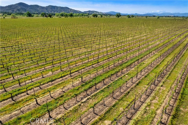 Detail Gallery Image 24 of 29 For 1650 Bell Hill Rd, Kelseyville,  CA 95451 - – Beds | – Baths