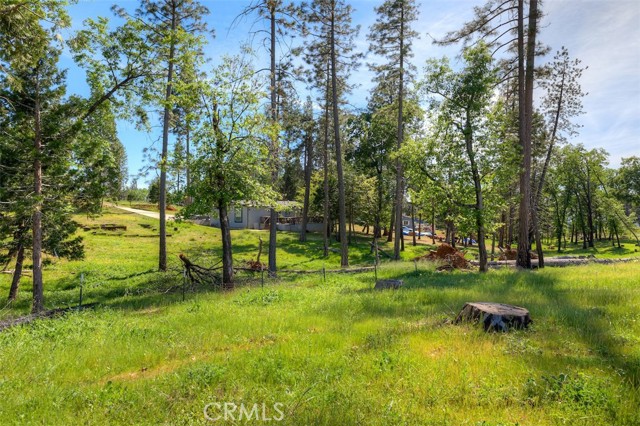 Front Image Thumbnail for CRSN26063989