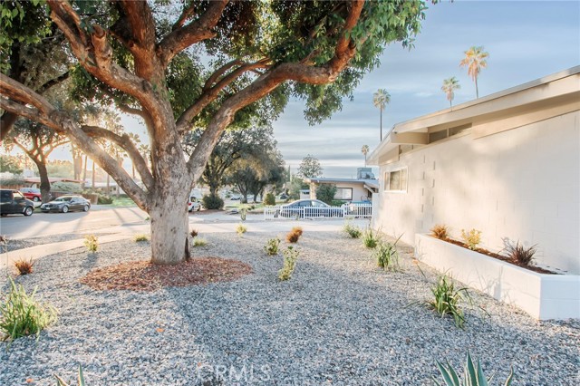 Ad23ef4c B04c 4a46 81b0 Bca906df534a