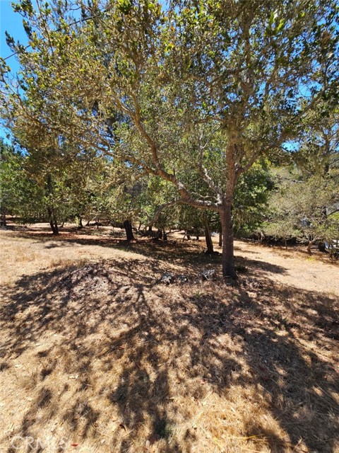 Detail Gallery Image 8 of 8 For 0 Tully Pl, Cambria,  CA 93428 - – Beds | – Baths