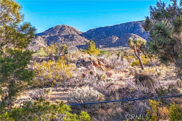Detail Gallery Image 43 of 55 For 8173 Fleur Dr, Joshua Tree,  CA 92252 - 2 Beds | 3 Baths