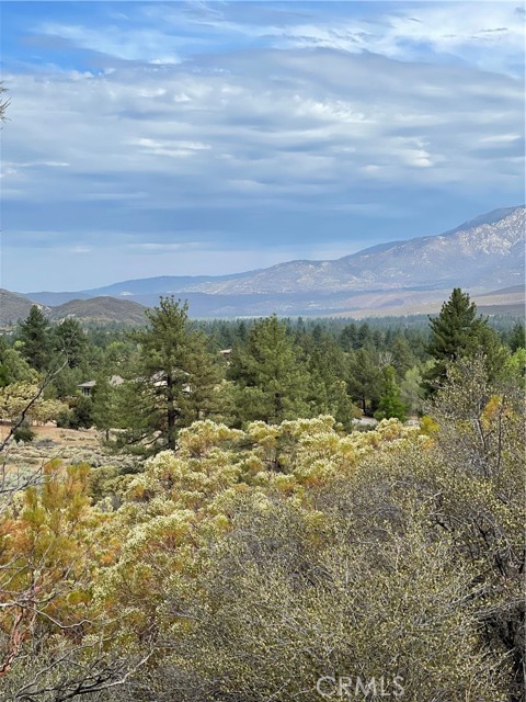 2 Goldshot Creek Road, Mountain Center, California 92561, ,Land,For Sale,2 Goldshot Creek Road,CRSW22171999