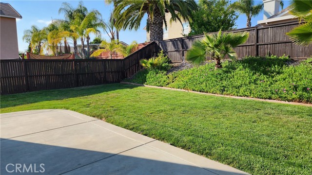 Large background with of grass and fruit tree