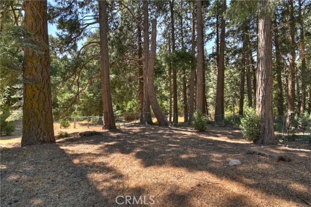 386 Garden Drive, Cedarpines Park CA: https://media.crmls.org/medias/ad2f3903-bc9c-4615-af69-0503a44bfdb3.jpg
