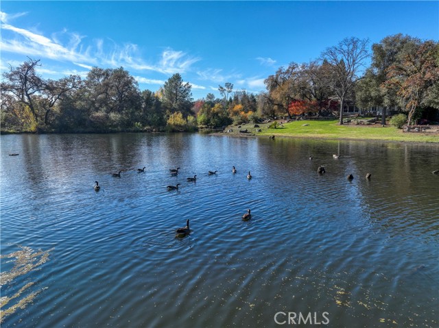 Detail Gallery Image 59 of 65 For 9260 Miners Xing, Loomis,  CA 95650 - 4 Beds | 2/1 Baths