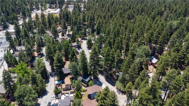 Detail Gallery Image 18 of 23 For 2462 Spring Dr, Running Springs,  CA 92382 - 3 Beds | 1 Baths