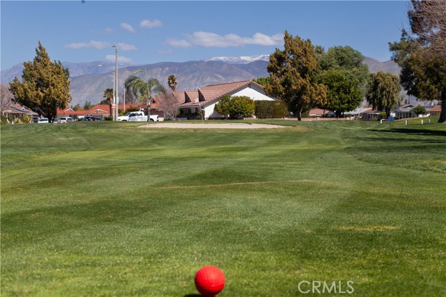 Detail Gallery Image 22 of 23 For 1380 Teakwood, Hemet,  CA 92543 - 2 Beds | 2 Baths
