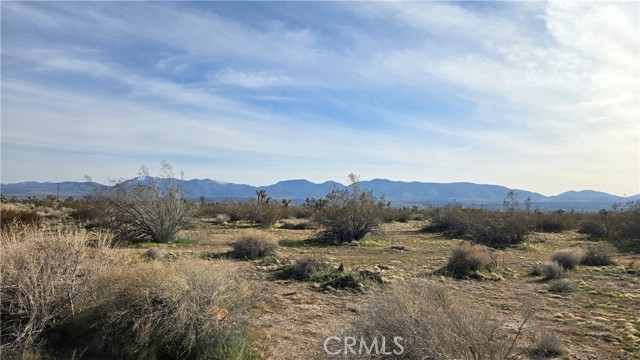 Detail Gallery Image 10 of 21 For 0 115th St East S/O Ave S, Littlerock,  CA 93543 - – Beds | – Baths