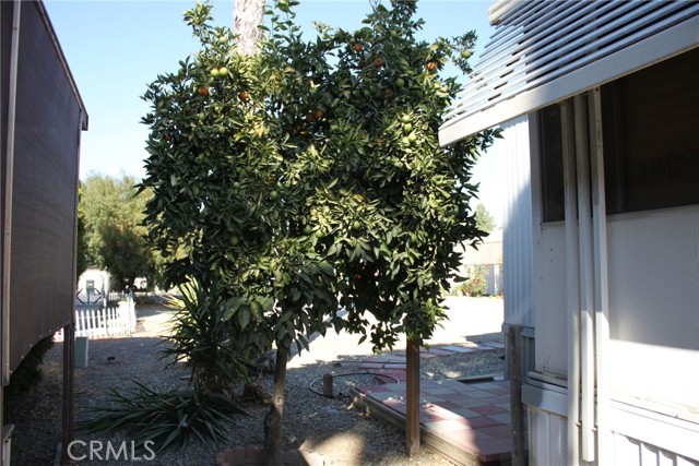 Detail Gallery Image 21 of 21 For 725 W Thornton Ave #122,  Hemet,  CA 92543 - 2 Beds | 2 Baths