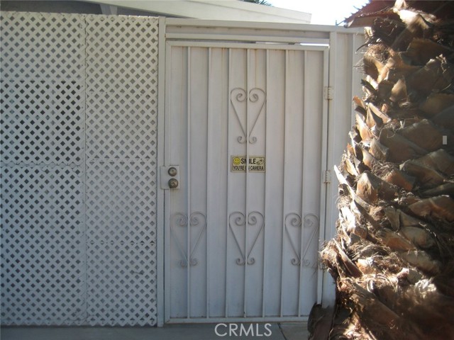 Front Image Thumbnail for CRSR26050588