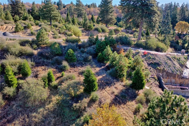 202 Hidden Forest Road, Lake Arrowhead, California 92352, ,Land,For Sale,202 Hidden Forest Road,CREV23214554