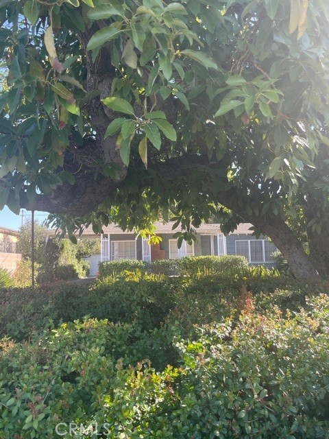 Front Image Thumbnail for CRCV25273955