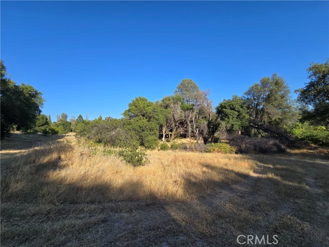 Detail Gallery Image 26 of 32 For 804 Craig Access Road, Feather Falls,  CA 95940 - 2 Beds | 1 Baths