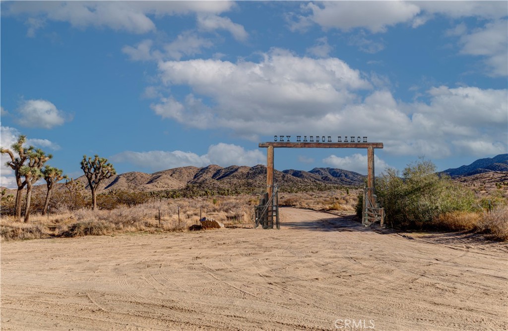 MLS #JT25229239 image #3