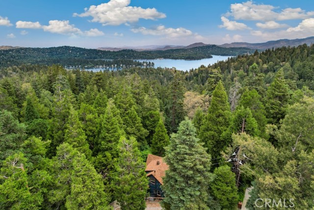 717 Crest Estates Drive, Lake Arrowhead CA: https://media.crmls.org/medias/ad6adc16-98bf-4fcc-a530-876d383f575c.jpg