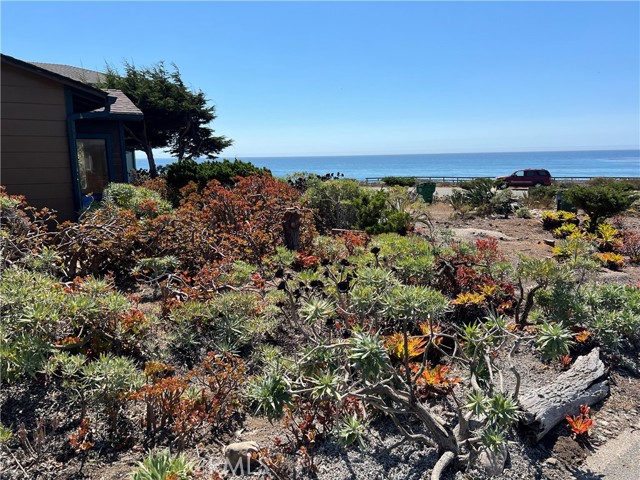 Detail Gallery Image 10 of 34 For 5978 Moonstone Beach Dr, Cambria,  CA 93428 - 1 Beds | 1 Baths